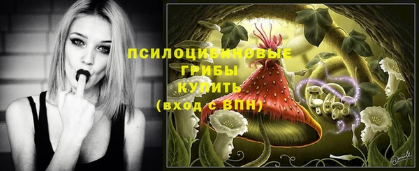 СК Алексеевка