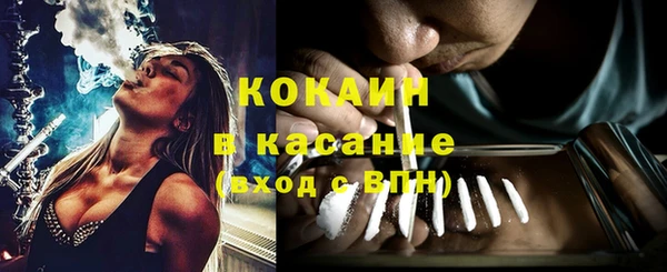 дживик Алзамай