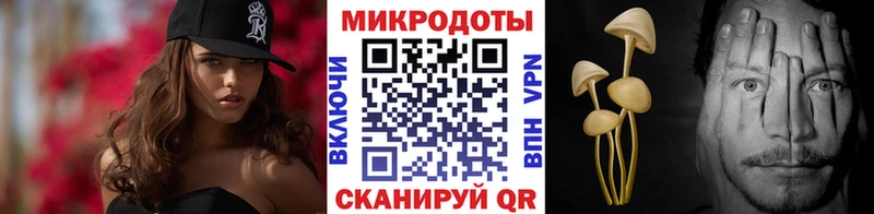 Галлюциногенные грибы Psilocybe Вихоревка