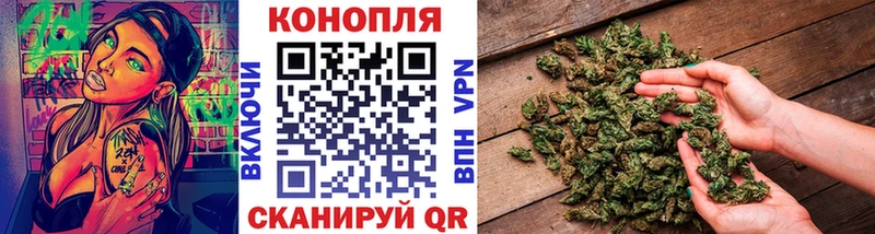где можно купить   Вихоревка  Шишки марихуана Ganja 